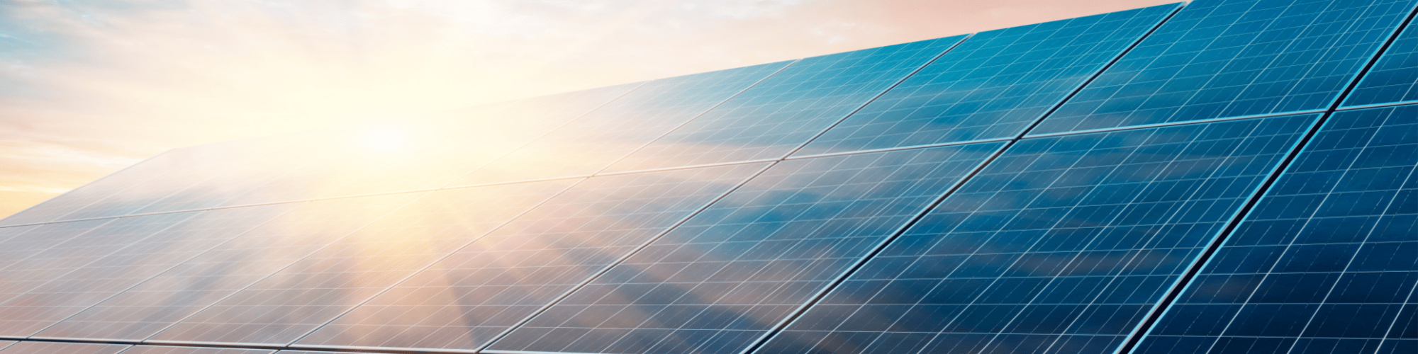 solar panels producing renewable energy with the sun hitting panels in the UK 